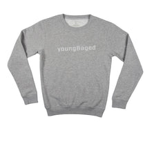 Load image into Gallery viewer, TEAM CREW NECK - HEATHER GREY
